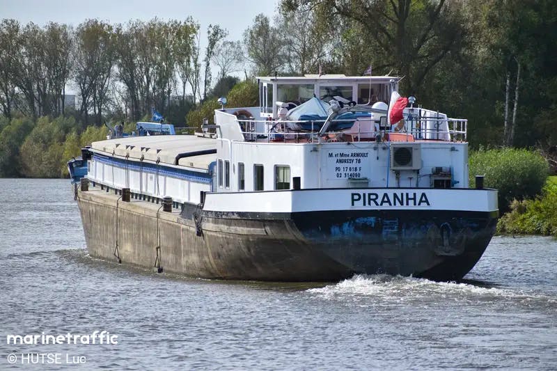 Piranha — thumbnail 2